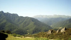 Laçın