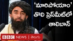 తాలిబాన్
