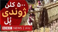 د پېرو کاسکو سیمه کې معمولاً هر کال د سیمې خلک یوځای د اینکا پله پر سر غځول شوی پړی رغوي، خو تېر کال یې د وبا له کبله ونه رغاوه.‌