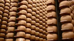 Wheels of Parmesan cheese in storage