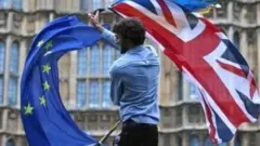 ਬ੍ਰਿਟੇਨ ਤੇ ਈਯੂ ਦੇ ਝੰਡੇ ਚੁੱਕੇ ਸ਼ਖ਼ਸ਼