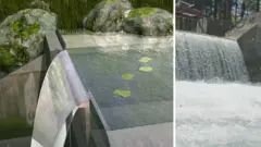 مشروع ألماني لتلافي الأضرار البيئية النابعة من محطات توليد الطاقة