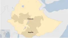 Danaa Gujii Bahaa magaalaa Nageellee agarsiisu