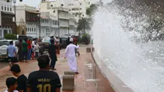 الإعصار شاهين