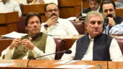 عمران اور شاہ محمود