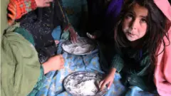 عائلة أفغانية في مدينة حيرات لا تجد سوى الدقيق الجاف لتقتات عليه.