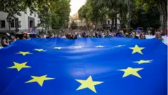 Демонстранты с флагом ЕС на акции в Тбилиси 20 июня