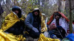 Группа мигрантов из Сирии вблизи белорусско-польской границы