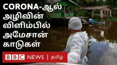அமேசான் காடுகள்