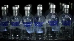 Бутылки с водкой Absolut