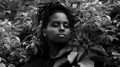 Ariel Wayz