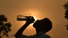 હીટવેવ