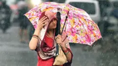 વરસાદ
