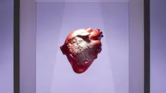 قلب