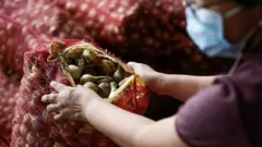 Kenaikan harga bawang di Filipina