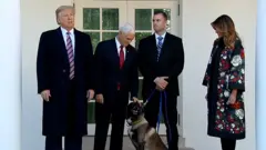 conanthedog