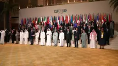COP28