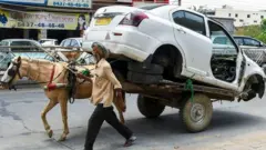 Punjab elections
