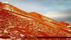 சஹாரா பாலைவனத்தில் பனிப் பொழிவு