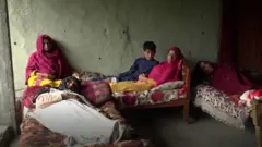 کشمیر