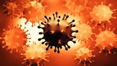 coronavirus