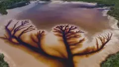 झील