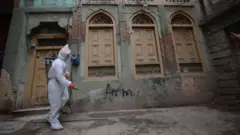 پشاور