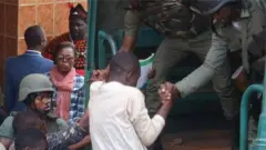 ndị ụmụakwụkwọ Kamerun