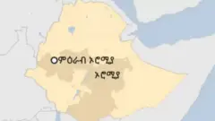 ካርታ