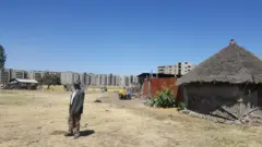 አዲስ አበባ እና የገበሬ ቤት