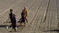 Ўзбек деҳқонлари