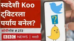 कू चा पिवळा पक्षी ट्विटरच्या निळ्या पक्ष्याला चोच मारेल का?