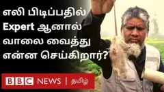 எலி பிடிப்பாளர்