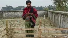 মায়ের কবরে মোনাজাত করছেন প্রয়াত হামিদা বেগমের ছেলে মুকুল শেখ