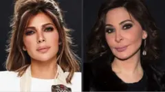 بدأ الجدل عندما أعادت إليسا مشاركة عدة تدوينات تنتقد وجود اللاجئين الفلسطينيين والسوريين في لبنان، لتدخل بعدها الفنانة السورية أصالة على الخط.