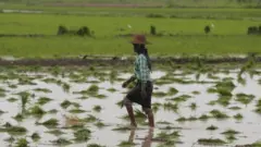ရေကြီးရေလျှံ