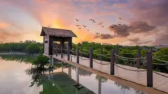 क़तर का पर्पल आईलैंड