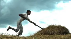 వ్యవసాయ పనుల్లో ఓ వ్యక్తి