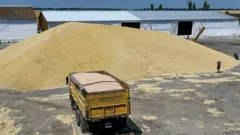 यूक्रेन से अनाज की चोरी का आरोप
