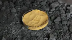 Концентрат необогащенного урана