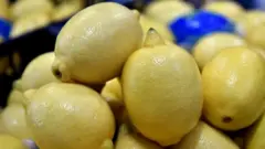 Limon