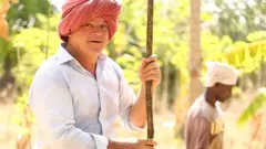 கிருஷ்ணா மெக்கன்ஸி