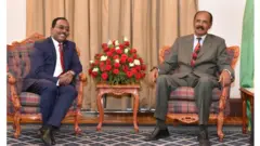 ፕረዚደንት ኢሳይያስ ኣፈወርቂ ምስ ኣምባሳደር ኢትዮጵያ ኣብ ኤርትራ ሬድዋን ሑሴን 04 ታሕሳስ 2019
