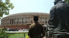 संसद, राजकारण, हल्ला.