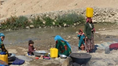 Afghans