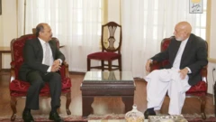 کرزی/ منصور احمد خان