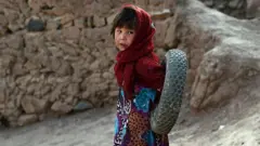 तालिबान