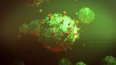 corona virus