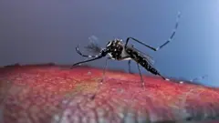 كيف يزيد تغير المناخ خطر تفشي الأمراض