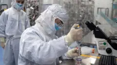 laboratorio